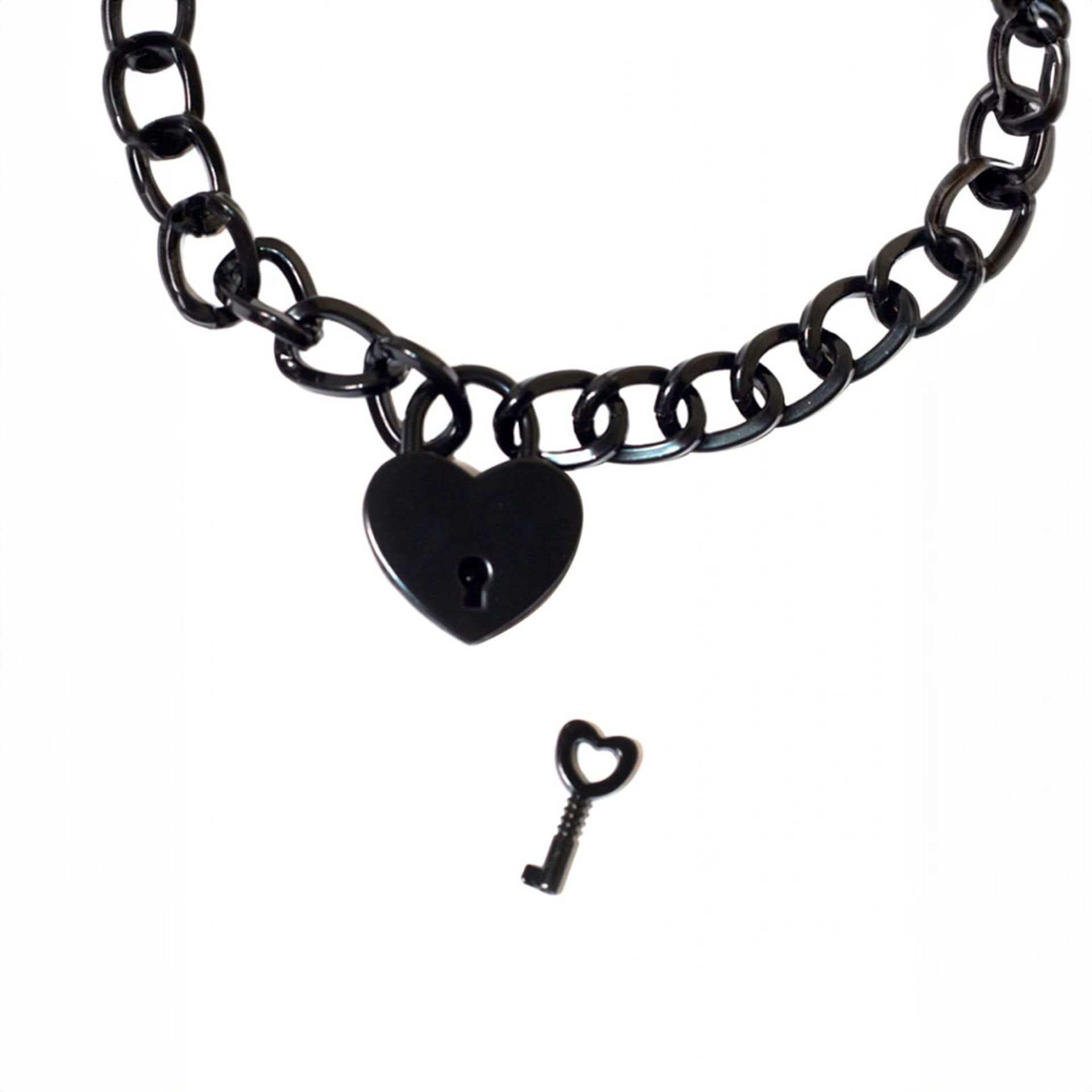 Ayay. BDSM - Delcier