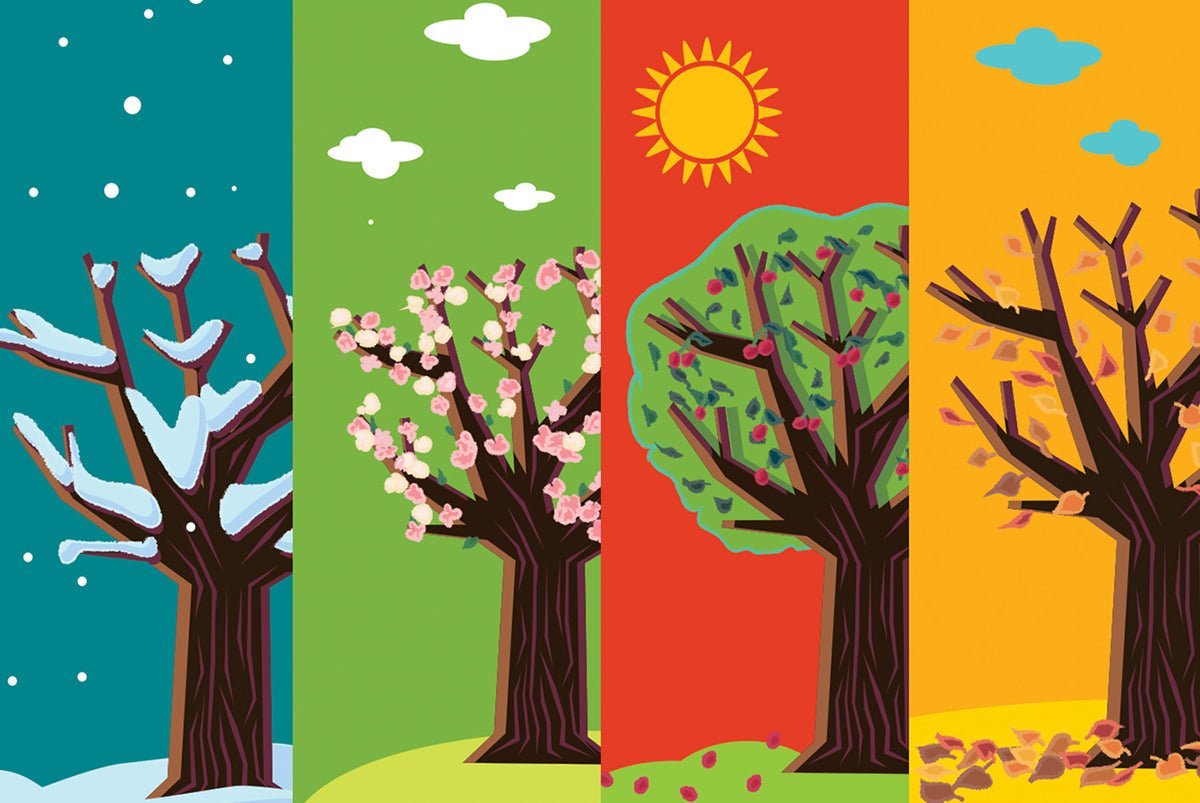 Les couleurs de sacs à main à adopter pour chaque saison : guide complet pour être stylée toute l’année - Delcier