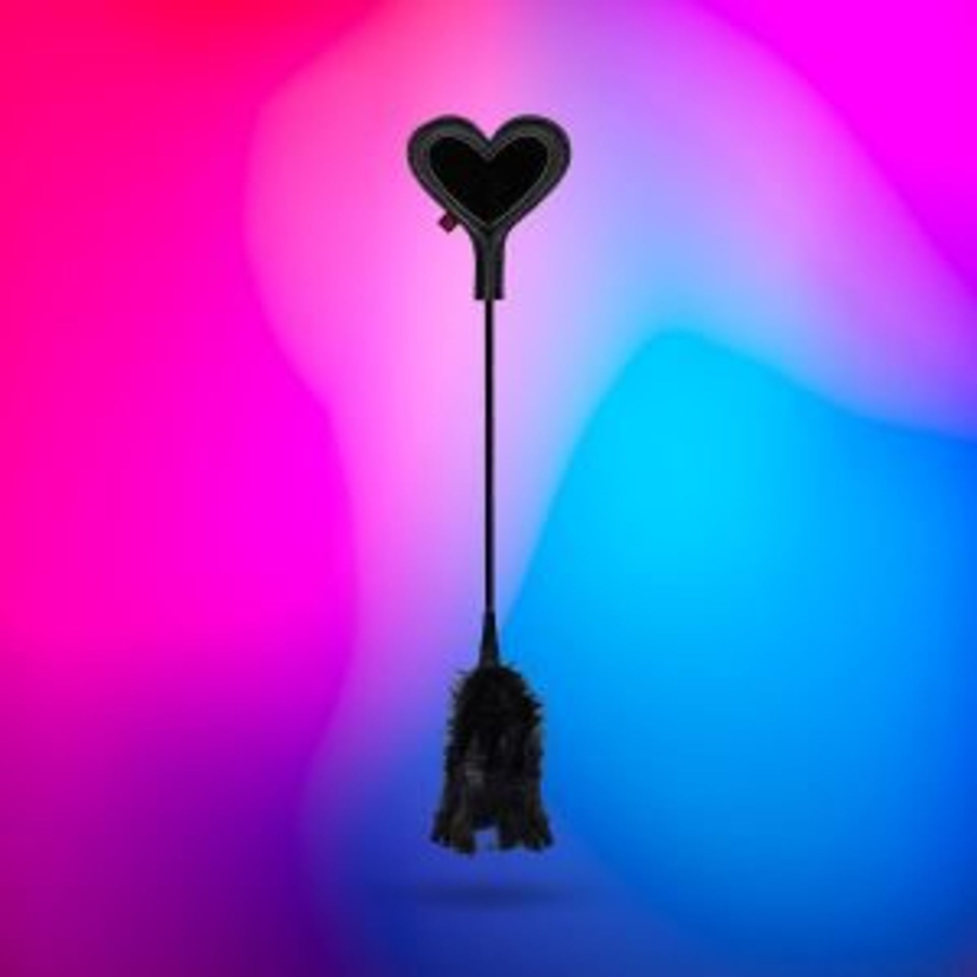 Ayay. BDSM - Delcier