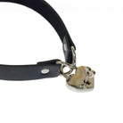 Ayay. BDSM - Delcier