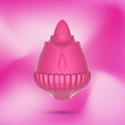 Ayay. Vibromasseurs - Delcier