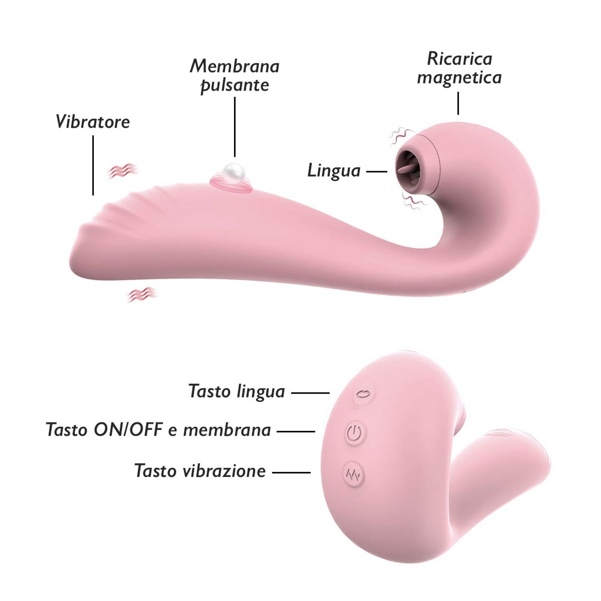 Ayay. Vibromasseurs - Delcier